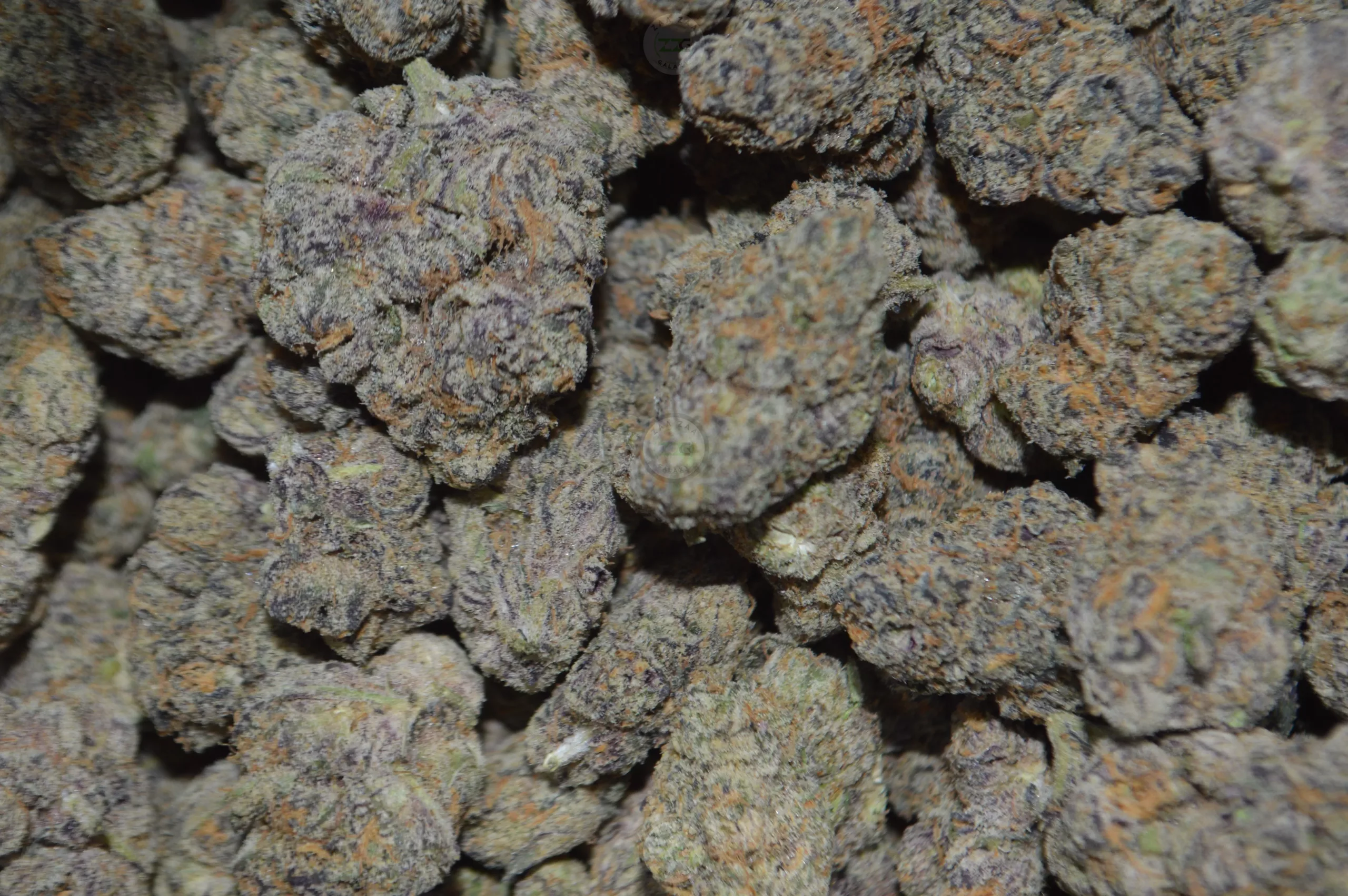 1 Oz Zaza Flower DEAL - Image 4
