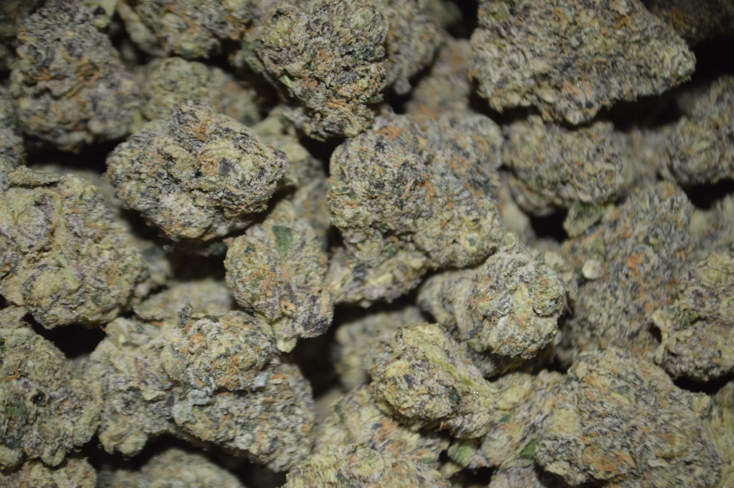 1 Oz Zaza Flower DEAL - Image 6