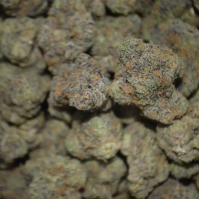 1 Oz Zaza Flower DEAL - Image 5