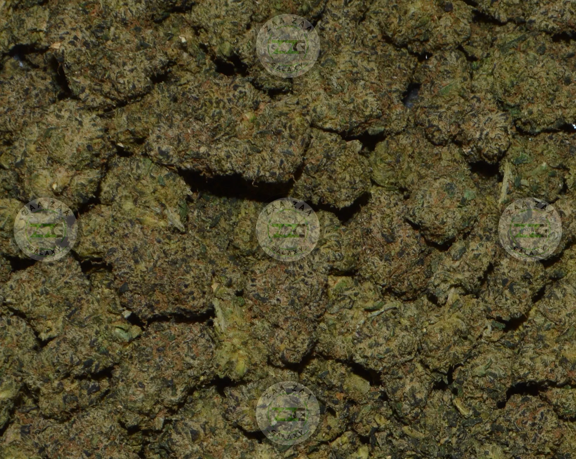WHITE RHINO CANNABIS
