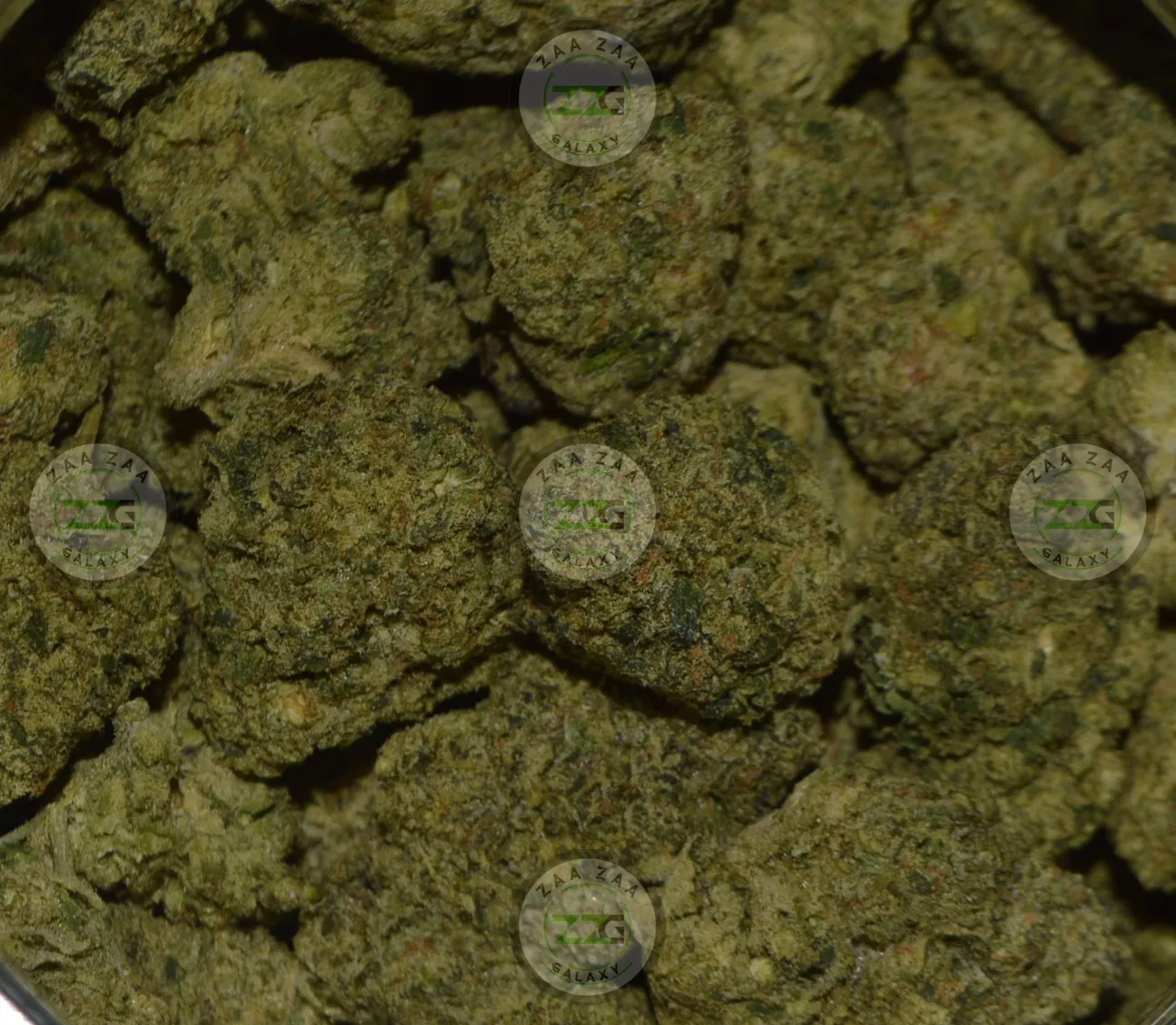 Maui Wowie Cannabis