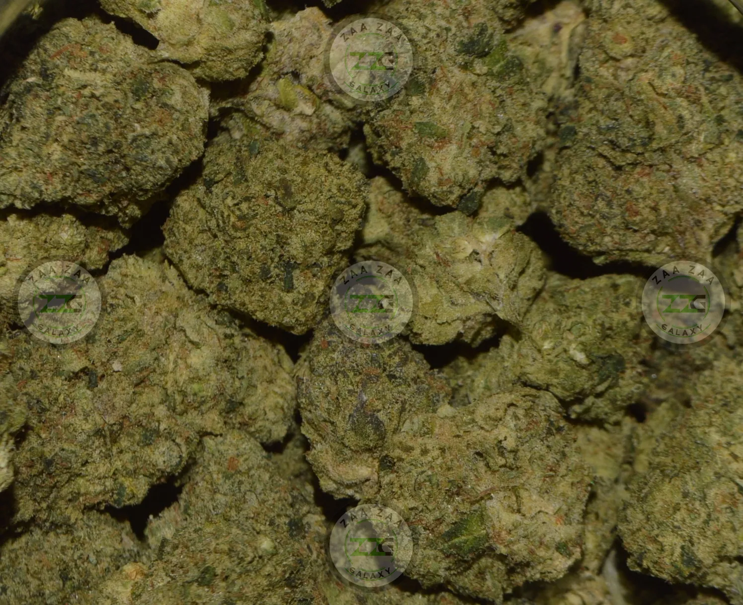 Super Silver Haze Cannabis