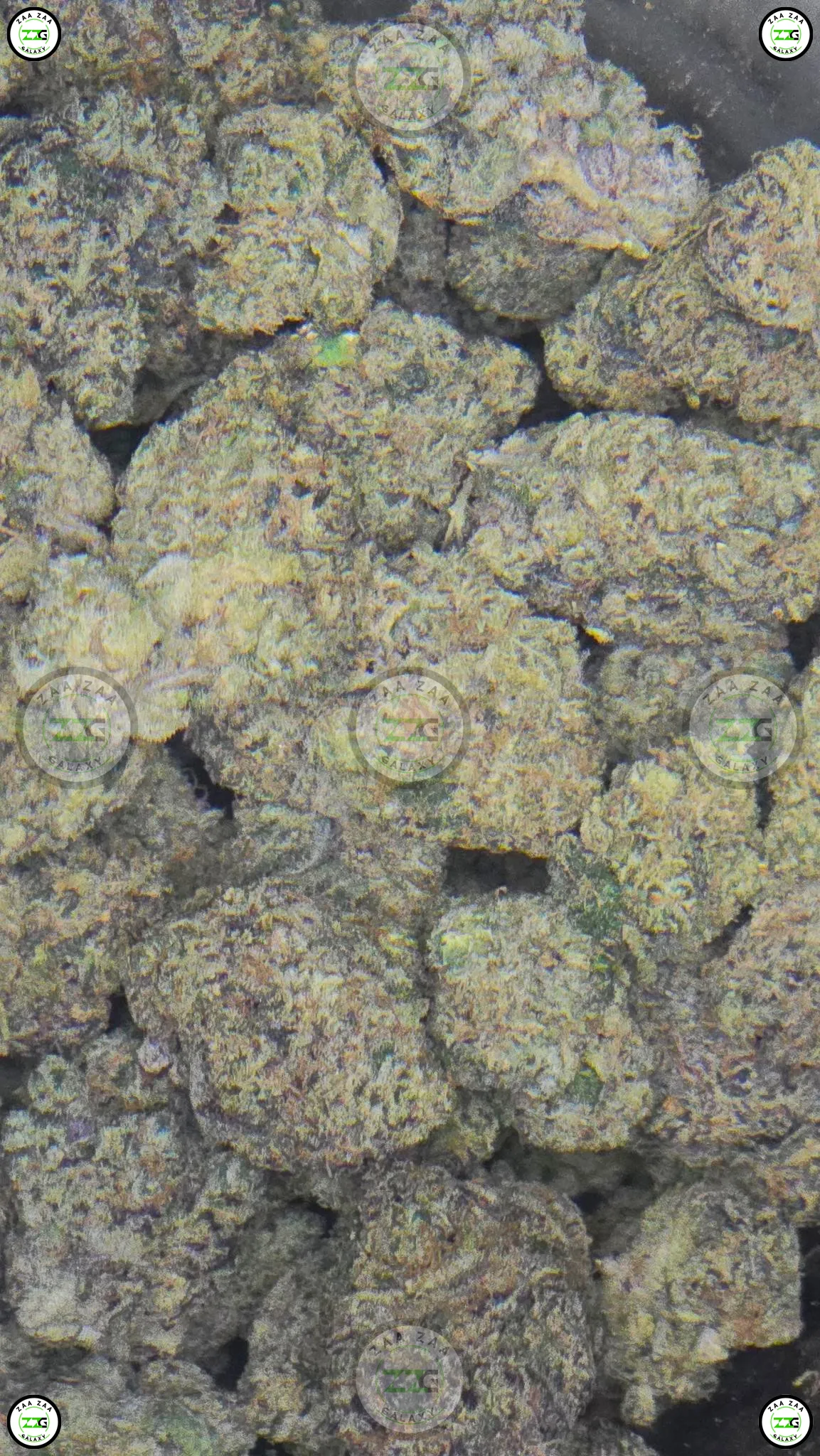 BLUE SOURZ CANNABIS