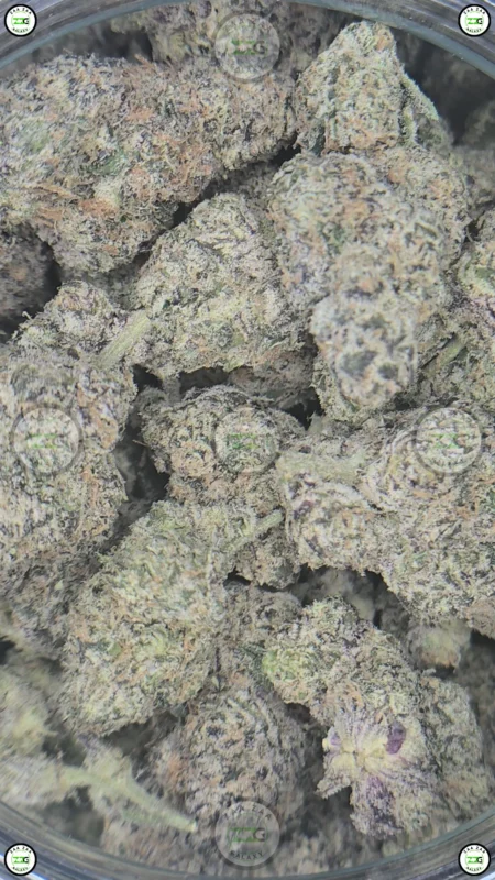 New Money cannabis strain