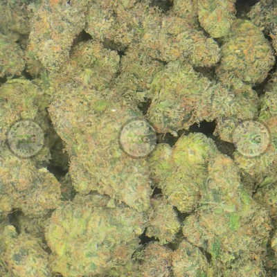 Willy Wonka Cannabis stain