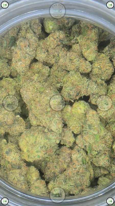 Willy Wonka Cannabis stain