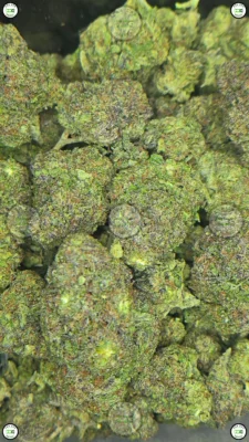 Apple Jack Cannabis