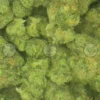 Coolio cannabis