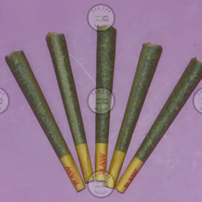 Zaza Prerolls