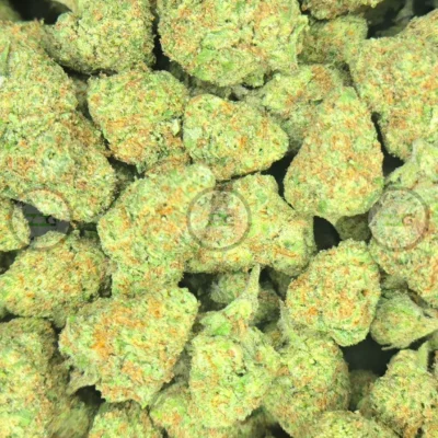 WHITE GUAVA Cannabis strain