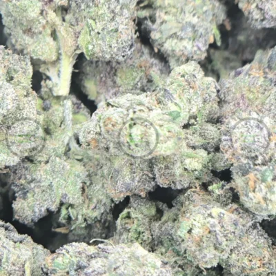 Galactic Warhead Cannabis