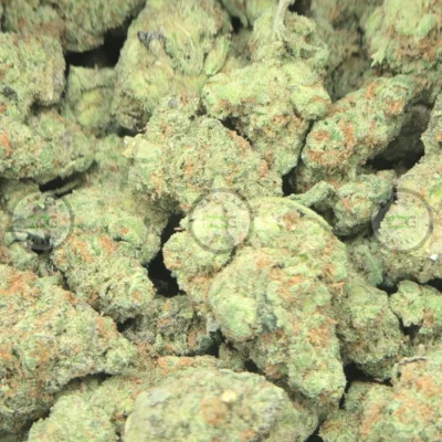 Green Crack Cannabis