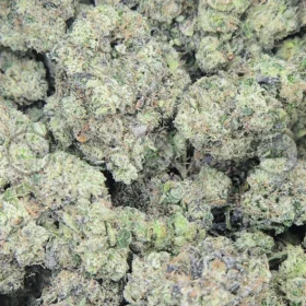 Coffin Candy Weed Strain