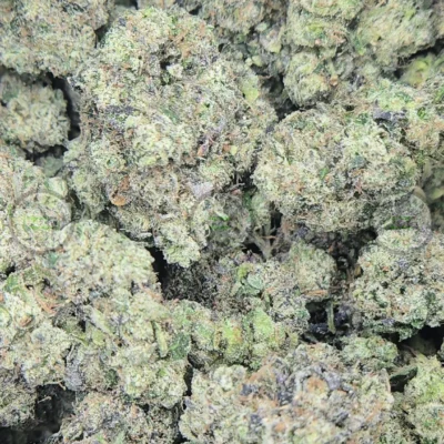 Coffin Candy Weed Strain