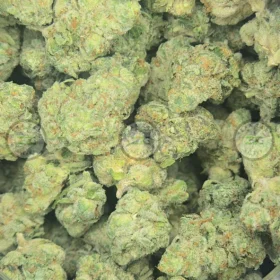 Gorilla Glue Weed Strain