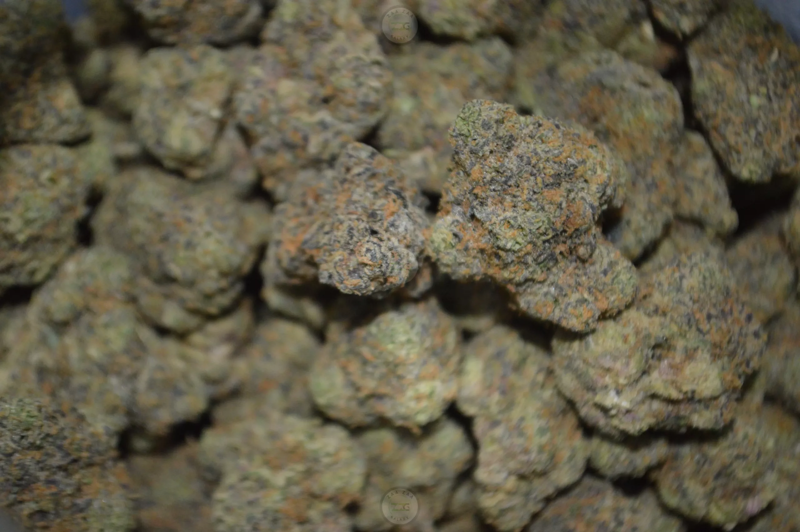1 Oz Zaza Flower DEAL | Zaa Zaa Galaxy | Cannabis Dispensary DC