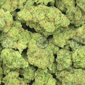 Trainwreck Cannabis