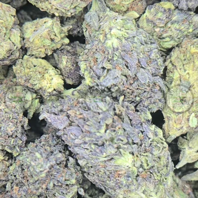 AREA 51 weed strain
