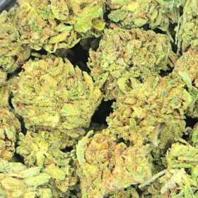 Super Lemon Haze Cannabis