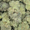 Zangria Weed Strain