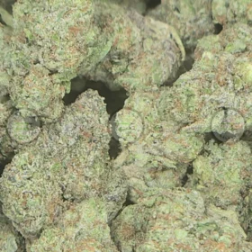 Cherry Pie x Sour Diesel Weed Strain