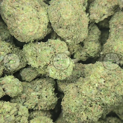 Oakland Runtz weed strain