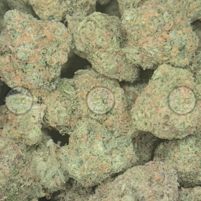 SUPER MANGO HAZE Weed Strain