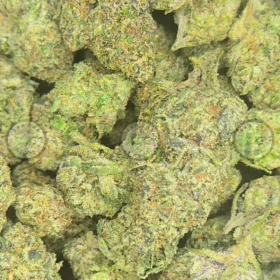 ANIMAL MINTZ Weed Strain