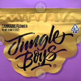 JUNGLE BOYS 20TH ANNIVERSARY