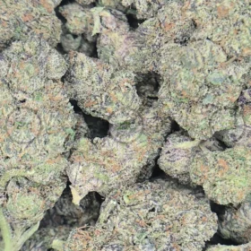 Ice Cream Float weed Strain