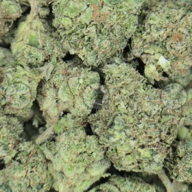 KANDY KUSH weed Strain