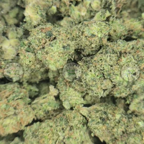 LEMON POPPERS weed Strain