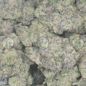 Rainbow Runtz weed