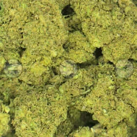 Silky Cherries Cannabis