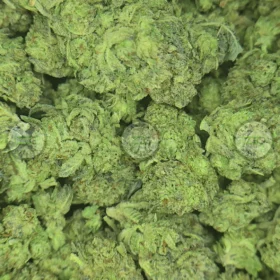 White Walker Cannabis