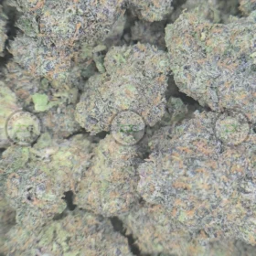 Zoap cannabis DC