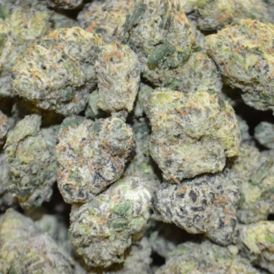 BLUEBERRY YUM YUM