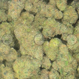 Willy Wonka Cannabis stain