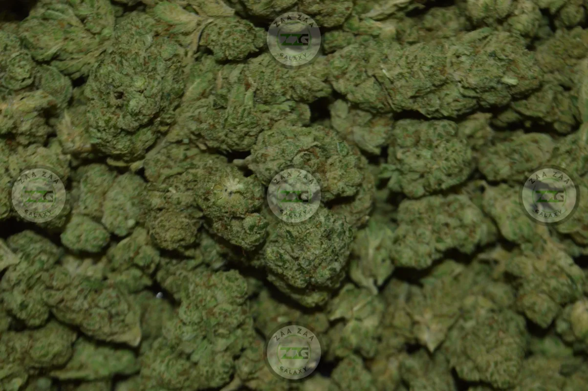 GG4