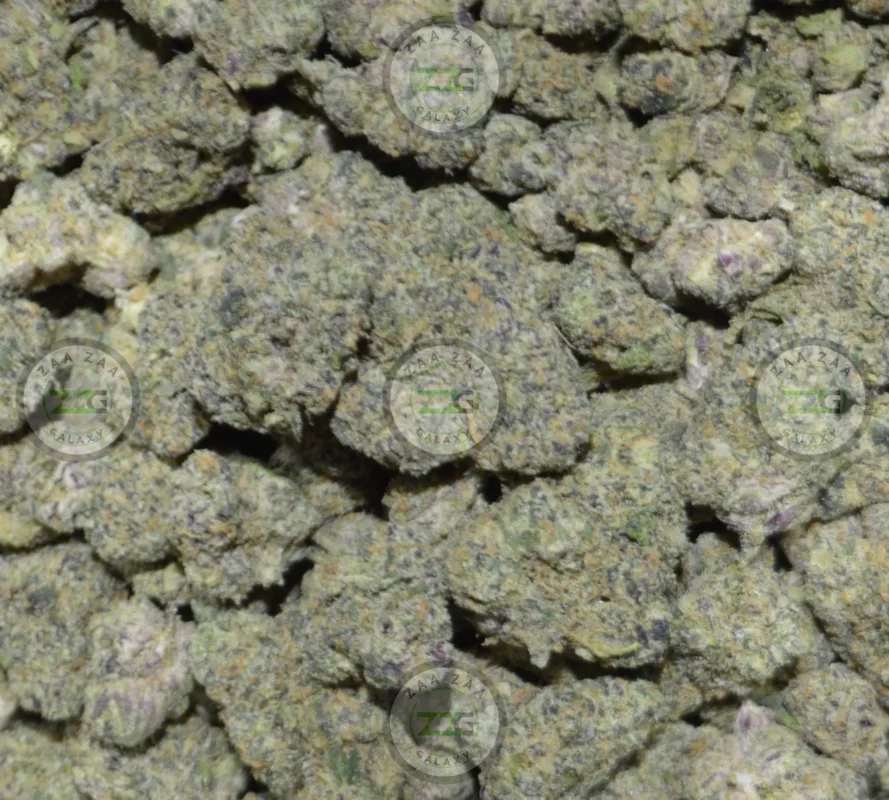 Russian Creme Cannabis