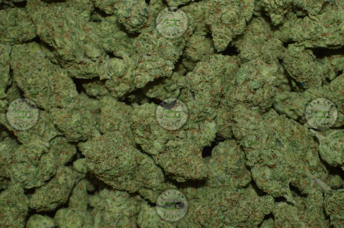 Strain Profile Super Lemon Haze