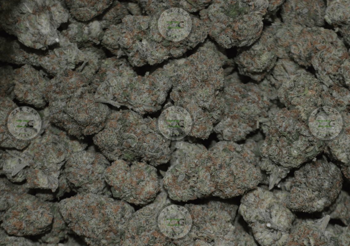 Strain Profile Tangie Land
