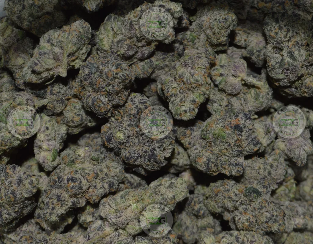 Strain Profile Mimosa
