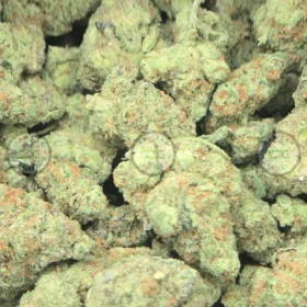 Green Crack Cannabis