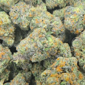 Curelato Birthday Cannabis