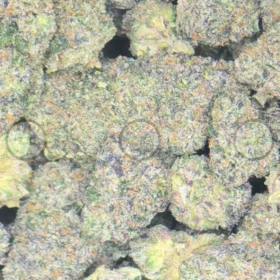 Forum Cookies Cannabis