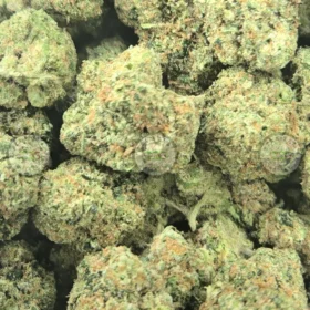 Georgia Pie Cannabis