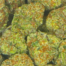 Orange Cookies Cannabis